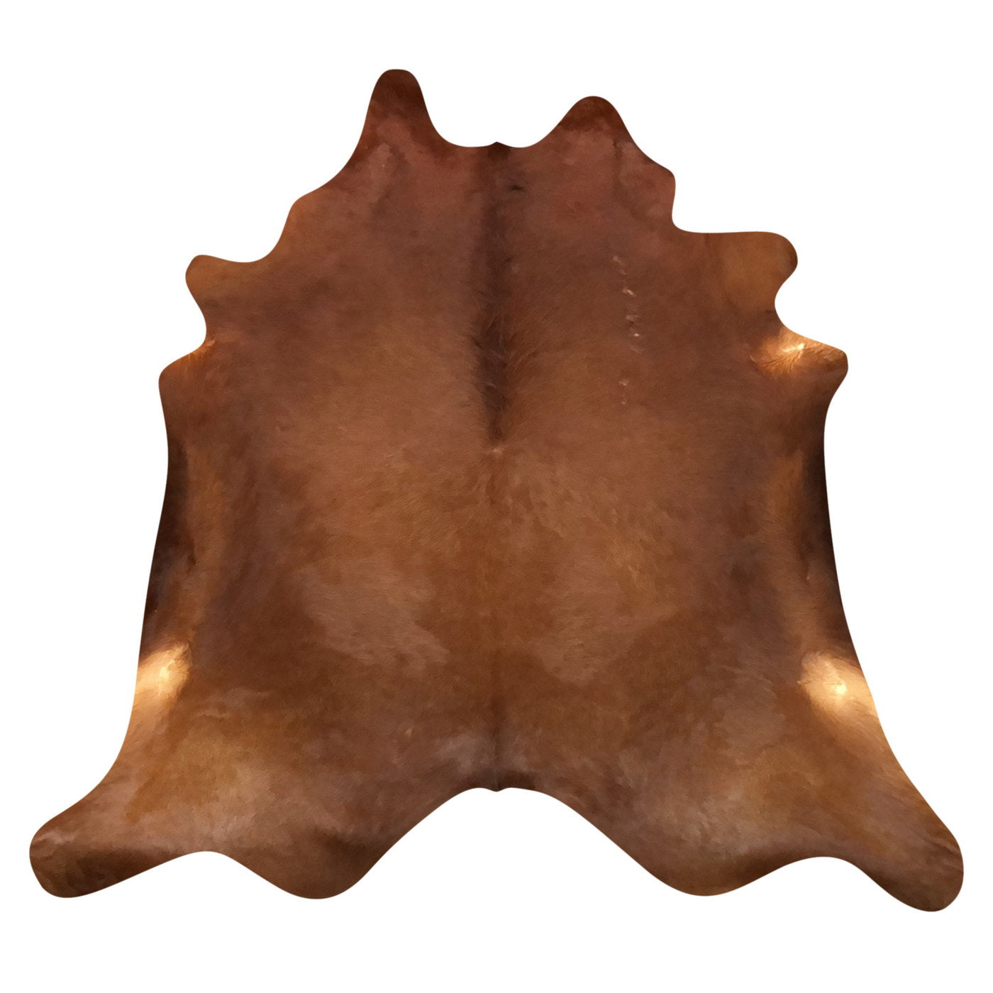 Natural Brazilian Cowhide Rug - Mocha & Caramel