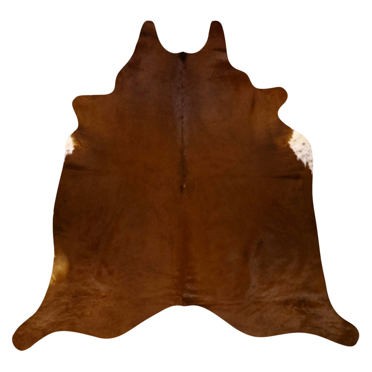 Natural Brazilian Cowhide Rug - Mocha