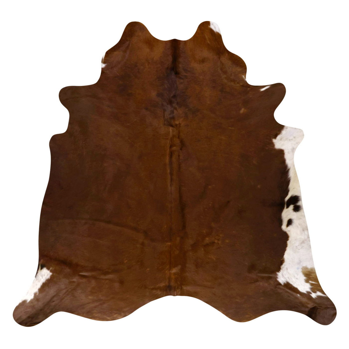 Natural Brazilian Cowhide Rug - Mocha & Ivory