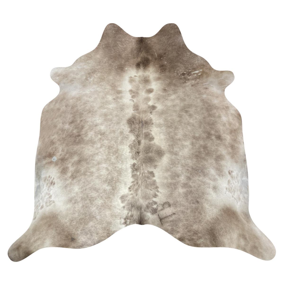 Image Coming Soon