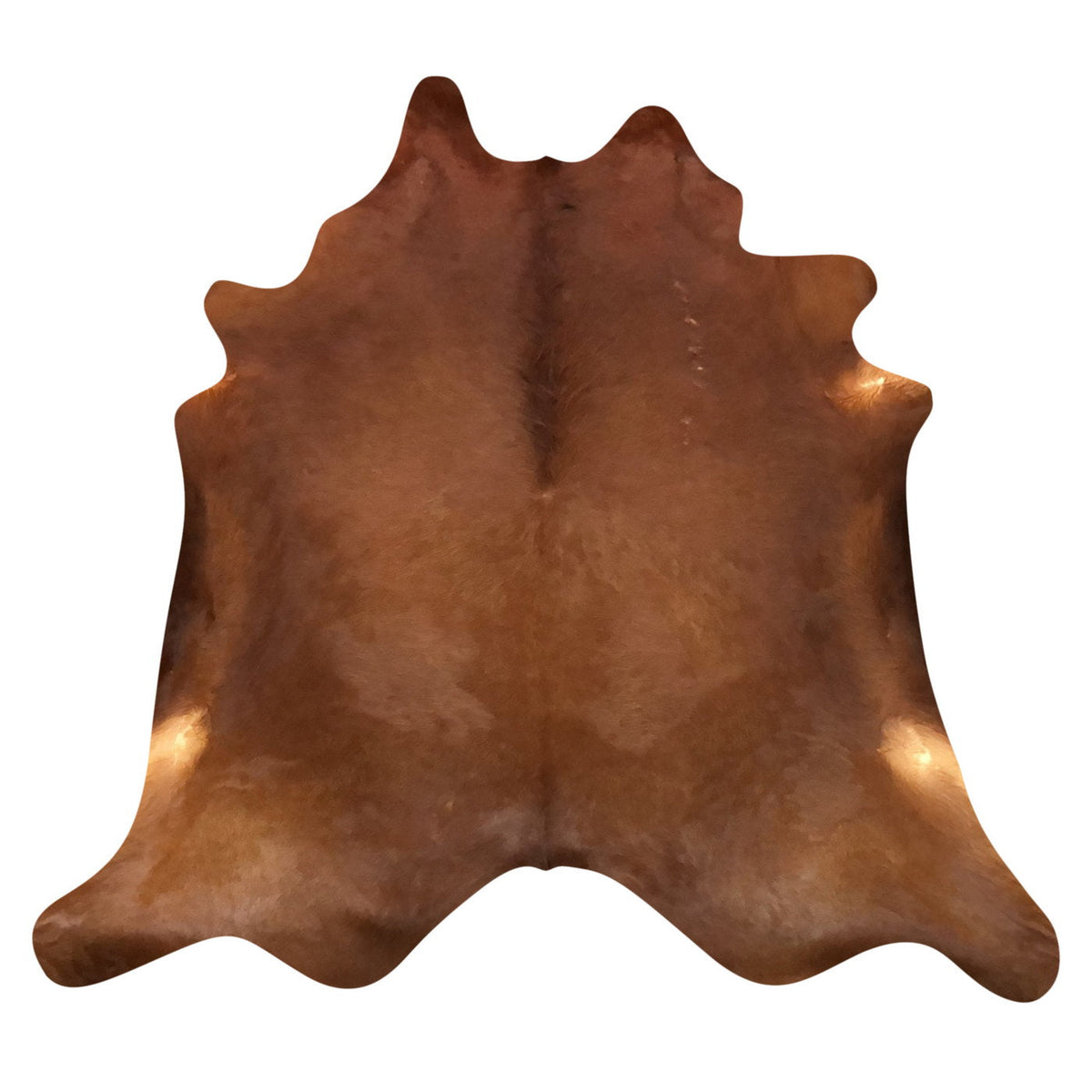 Natural Brazilian Cowhide Rug -  Mocha & Caramel