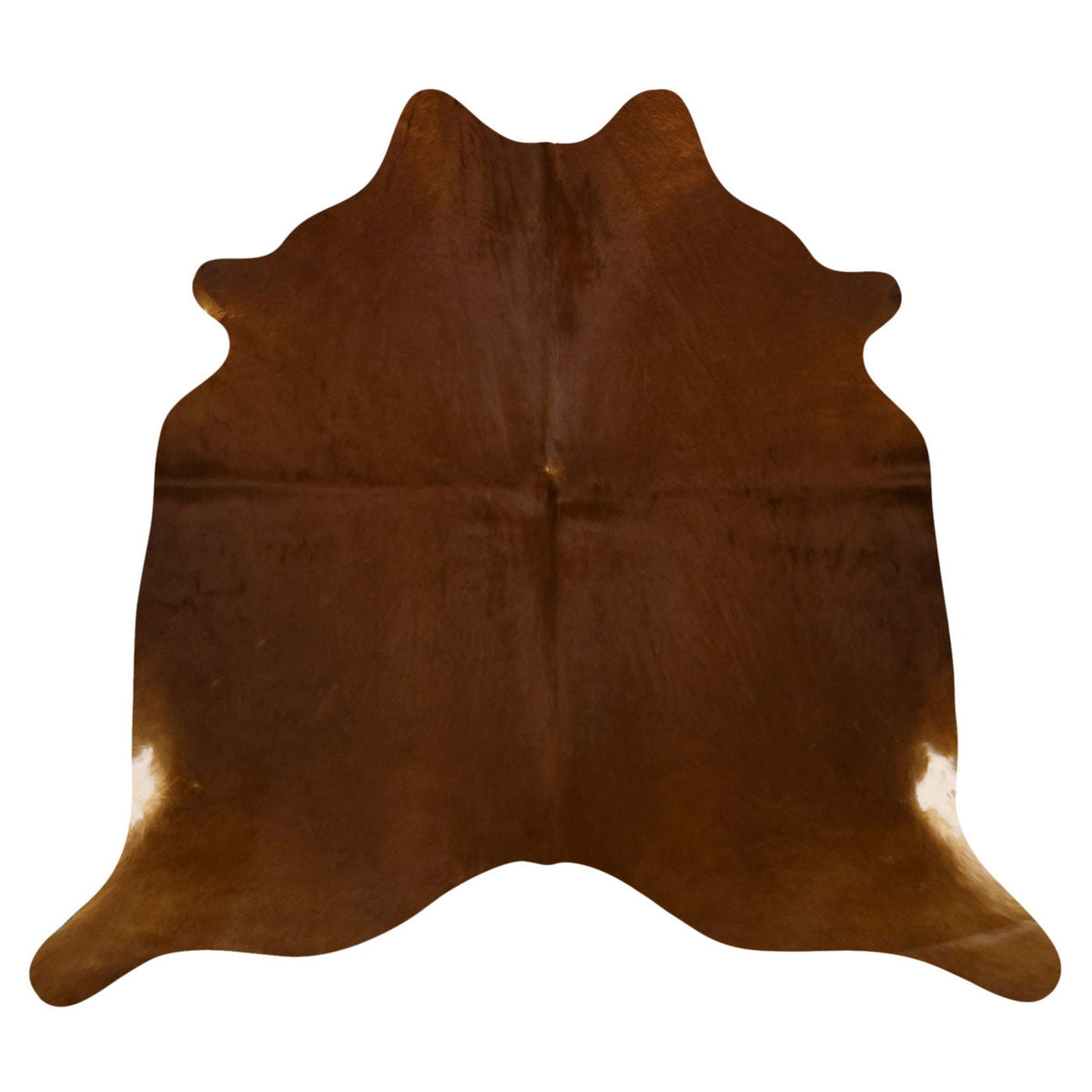 Natural Brazilian Cowhide Rug -  Mocha  