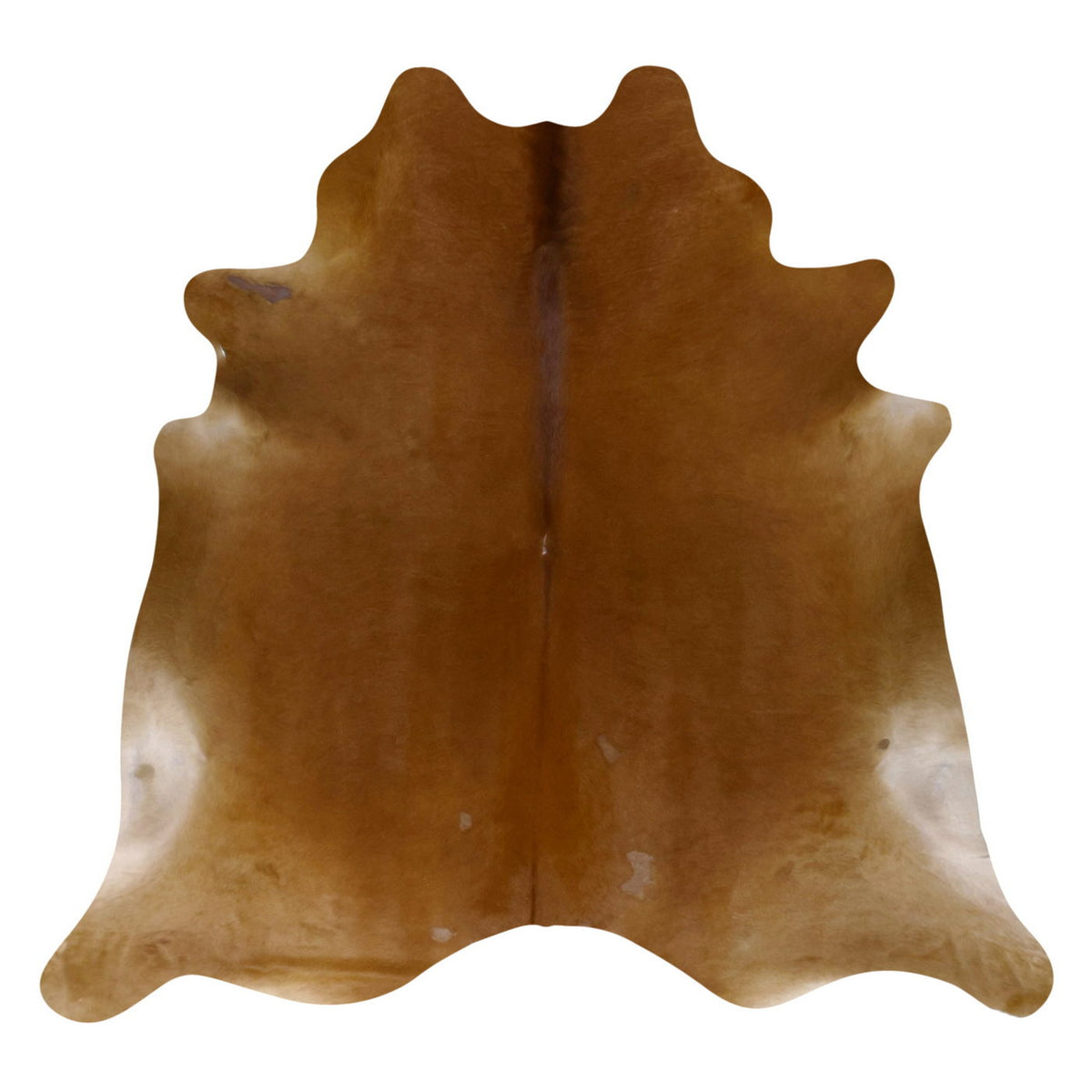 Natural Brazilian Cowhide Rug -  Mocha  