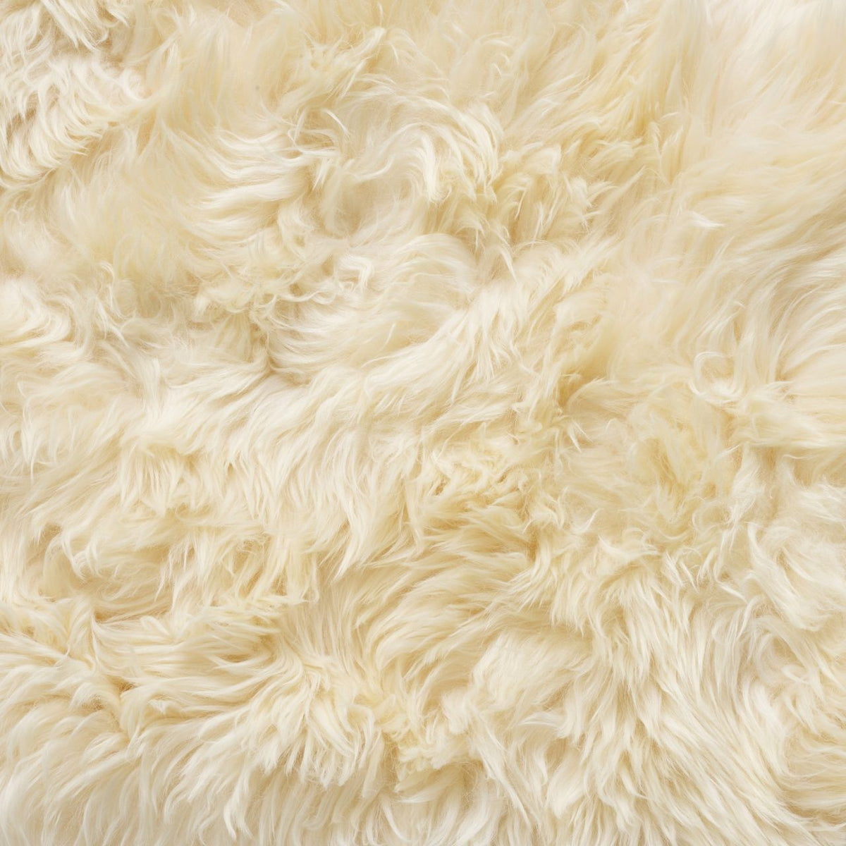 Octo Sheepskin Rug & Throw, XXLarge, approx. 6'x8' , Champaign