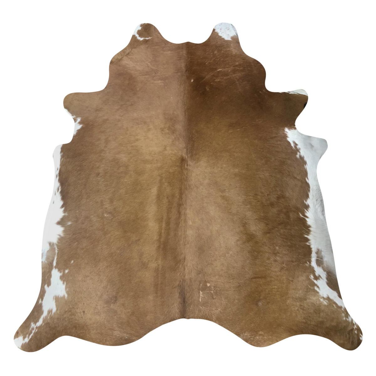 Image Coming Soon