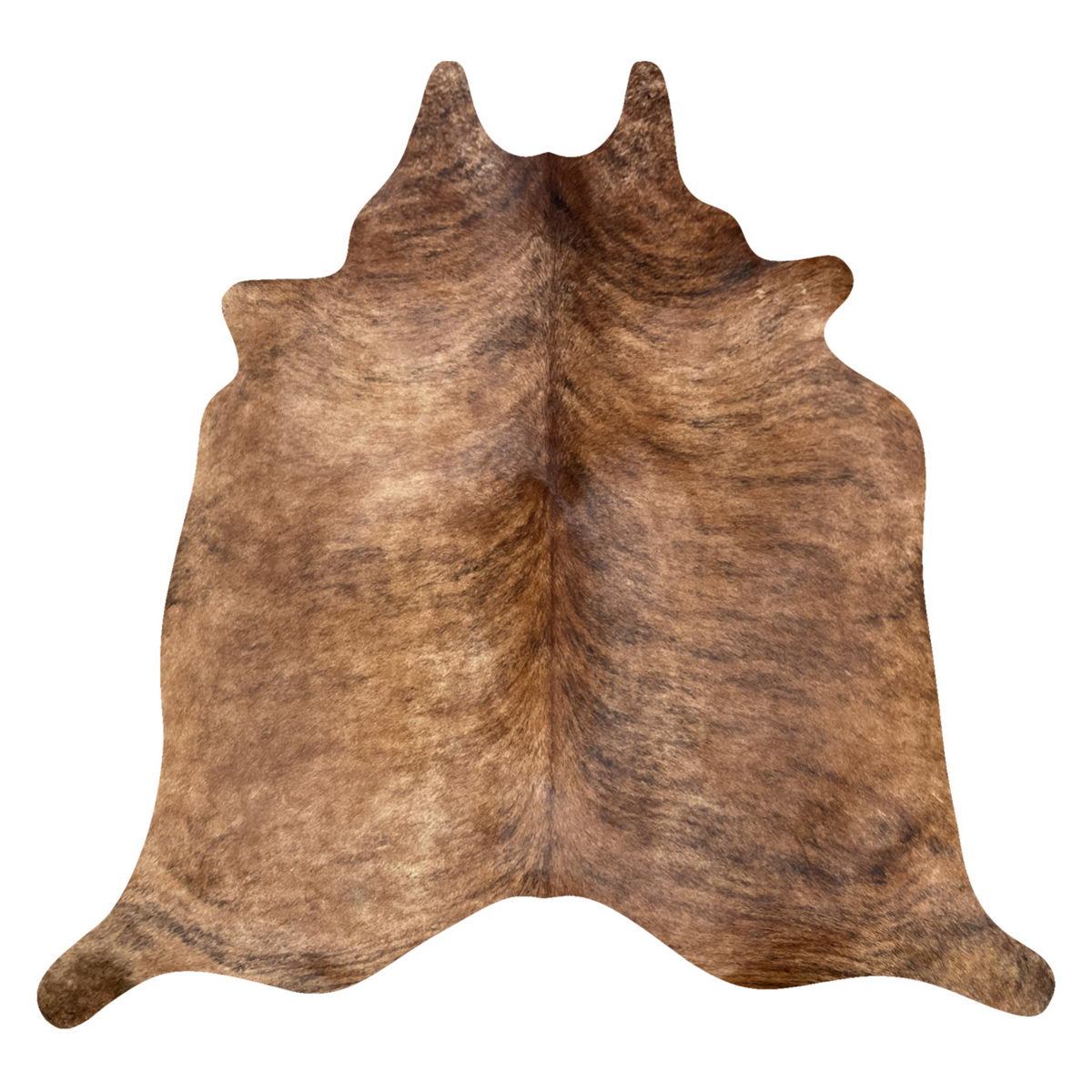 Image Coming Soon