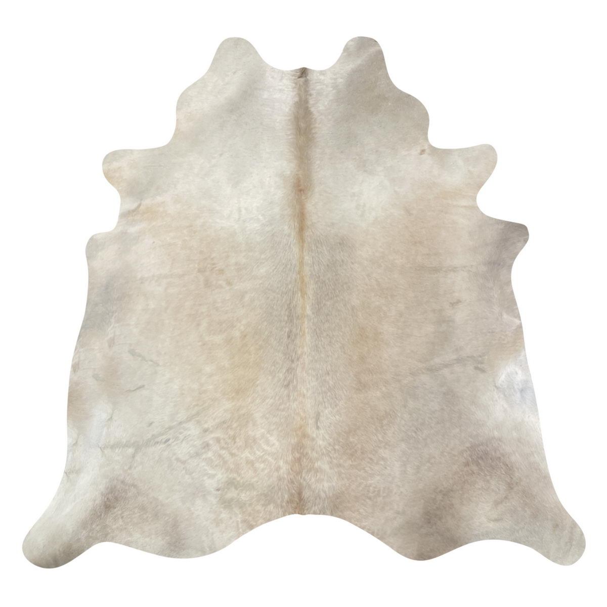 Image Coming Soon
