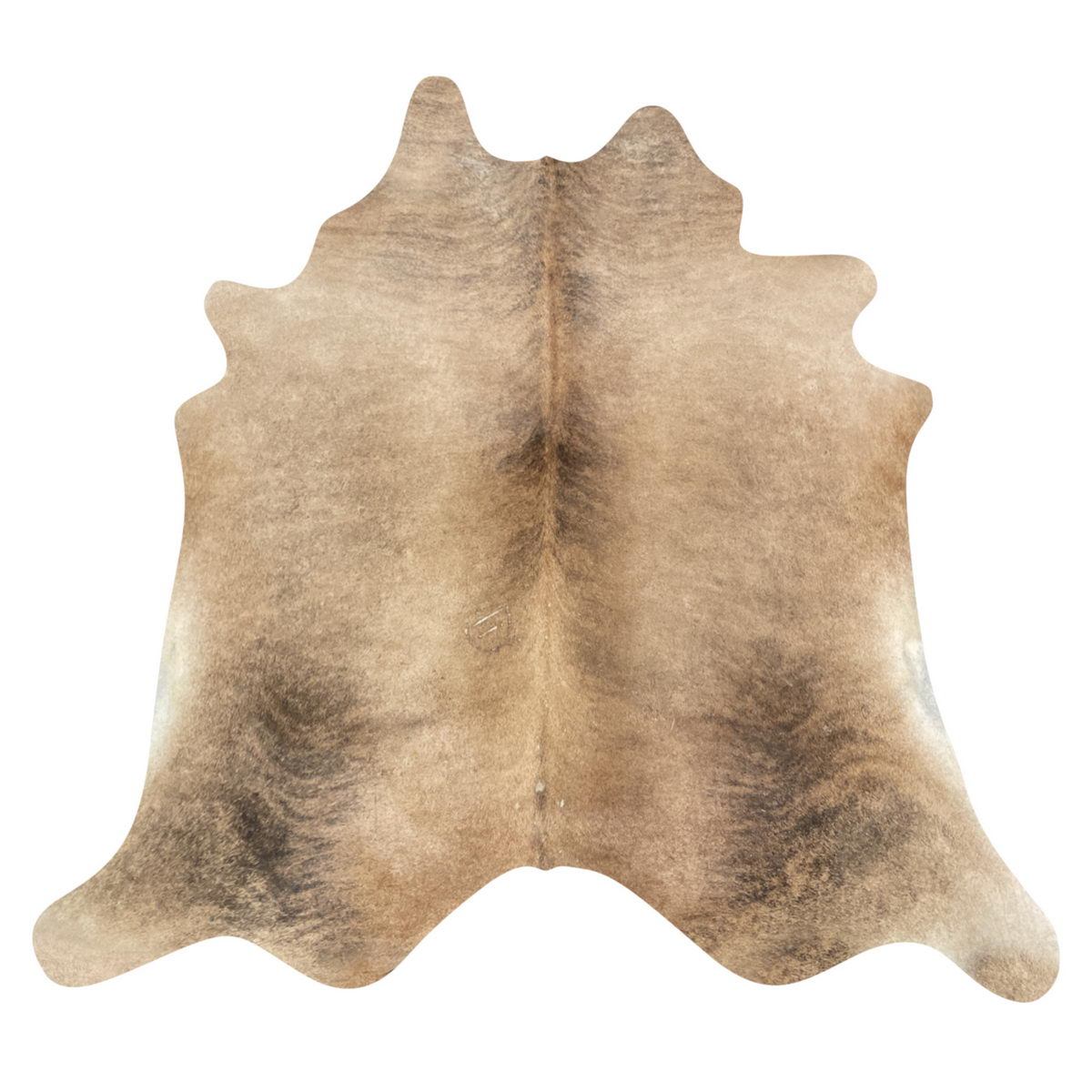Image Coming Soon